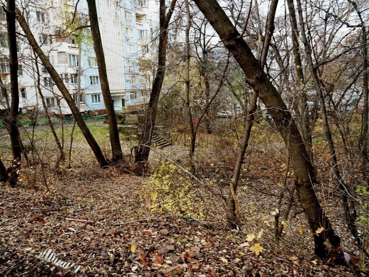 В Промышленном районе Самары будут очищать овраг после визита мэра И. Носкова