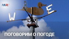 Поговорим о погоде в МК