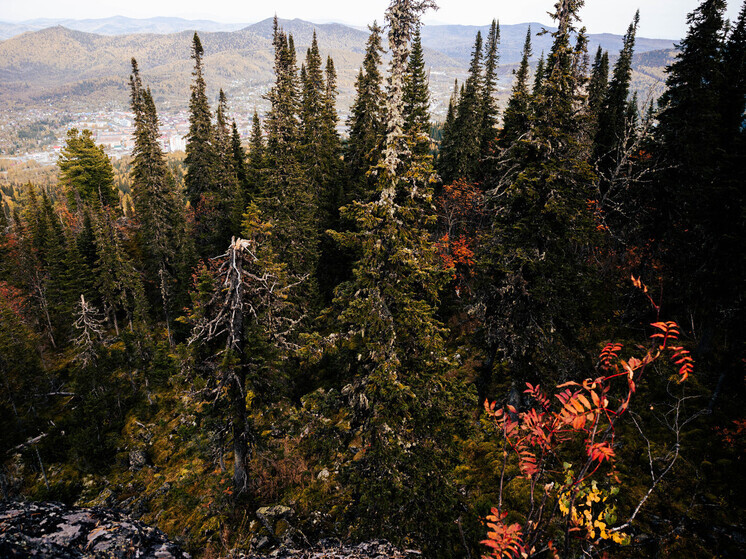 RT рассказал о версии пропажи семьи Усольцевых, связанной с грантами