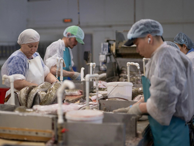 На Ямале определили лидирующие по объему рыбодобычи районы