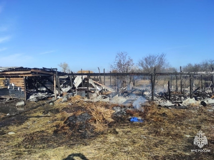 Коровник в Ростовской области сгорел дотла из-за включенного в сеть электроприробора