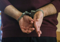 Номинантом премии «за самое дурацкое преступление» может стать угонщик автомобиля из Молодечно в Белоруссии