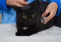 Ведение бизнеса в закрытых населенных пунктах всегда идет по специфичному сценарию