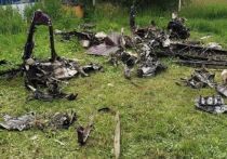 Вероятную причину крушения самолета ЯК-18Т под Коломной в июне этого года, в которой погибли четыре человека, установили специалисты Межгосударственного авиационного комитета (МАК). В том числе они проанализировали видео, отправленное по мессенджеру во время полета одним из пассажиров своим знакомым