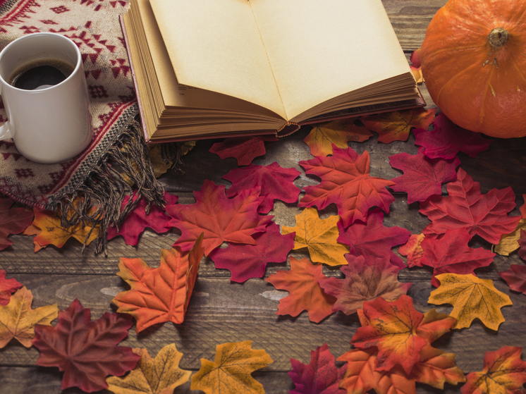 19 градусов тепла прогнозируют в Херсонской области 31 октября