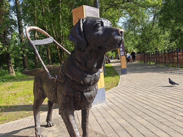 Подростки повредили памятник собаке-поводырю в Вологде
