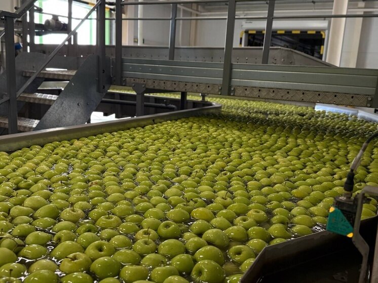 В Крыму собрано более 25 тысяч тонн семечковых культур