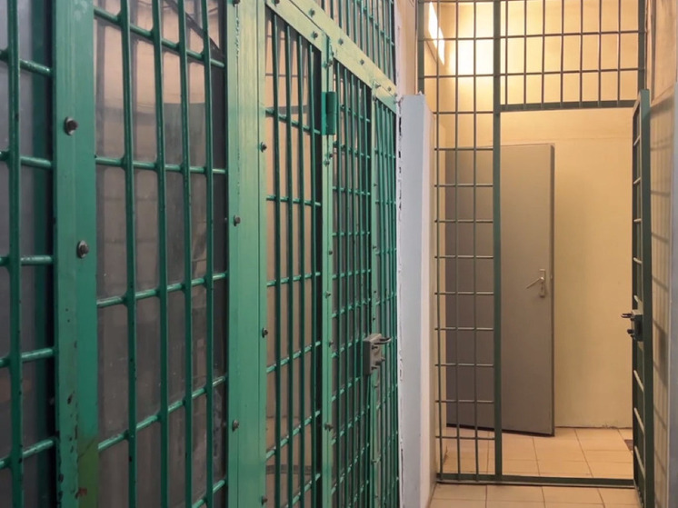 Причастный к изнасилованию школьника в Новосибирском лагере может уйти от ответственности