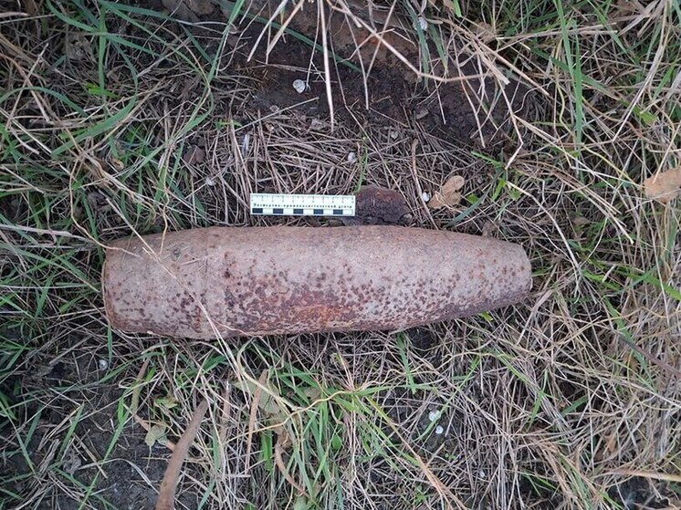 В рисовом чеке в Славянском районе нашли 100-мм снаряд времен ВОВ