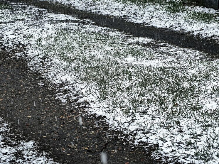 Дождь, мокрый снег и гололедица ожидают северян 31 октября