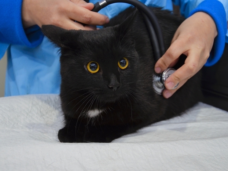 Ведение бизнеса в закрытых населенных пунктах всегда идет по специфичному сценарию