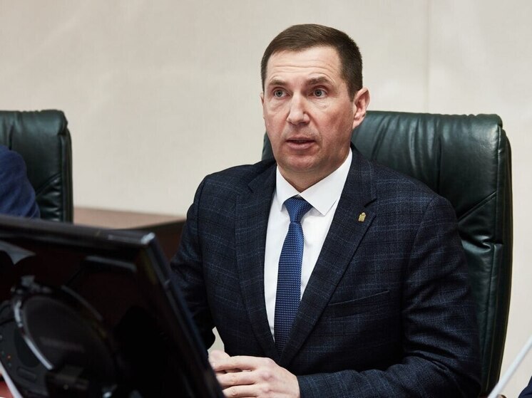 Прямая линия Олега Денисова: первые снегопады, что будет с питбайками и электросамокатами, кто сохранит новые деревья