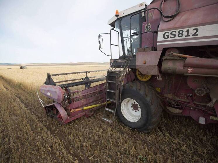 В Бурятии рассчитывают убрать урожай зерновых и масленичных культур до середины ноября