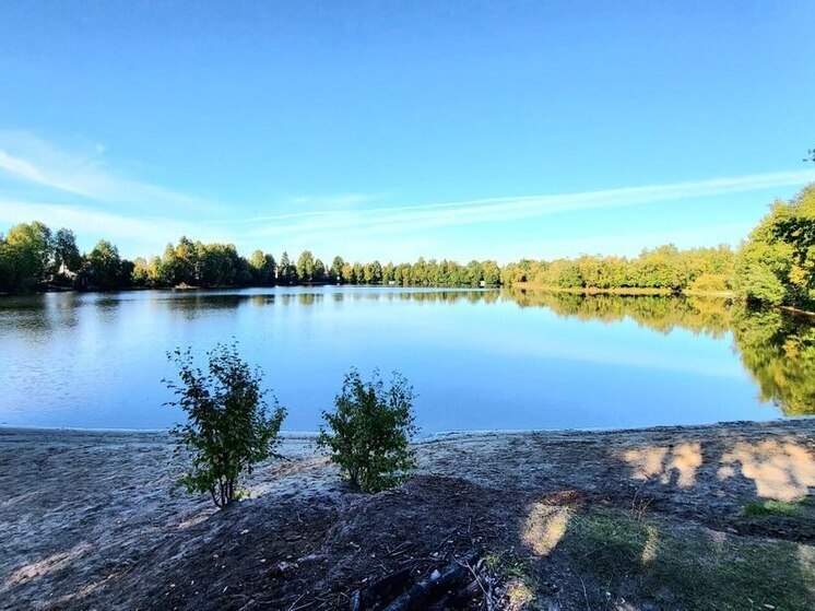 Житель Северодвинска обвинили в гибели семилетнего сына