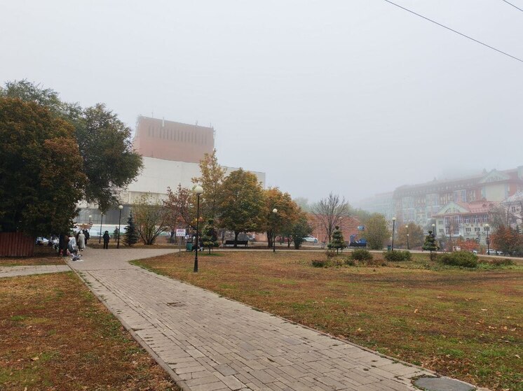 Туман прогнозируют в Самарской области на 31 октября