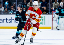 Спустя неделю после начала сезона в Национальной хоккейной лиге стартовал регулярный, 90-й по счету, чемпионат Американской хоккейной лиги, в котором играют фарм-клубы сильнейшей лиги планеты и где проходят обкатку молодые хоккейные дарования, не сумевшие пробиться в начале сезона в основные составы своих заокеанских клубов