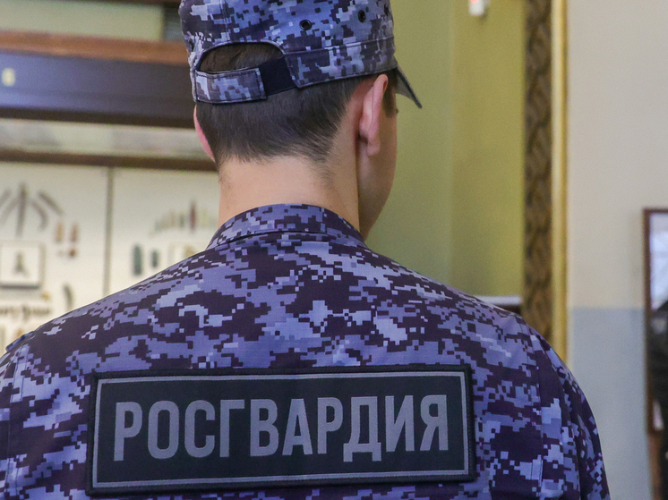 Разнимать семейную пару из Лобни, которая дралась на улице, пришлось росгвардейцам 29 октября