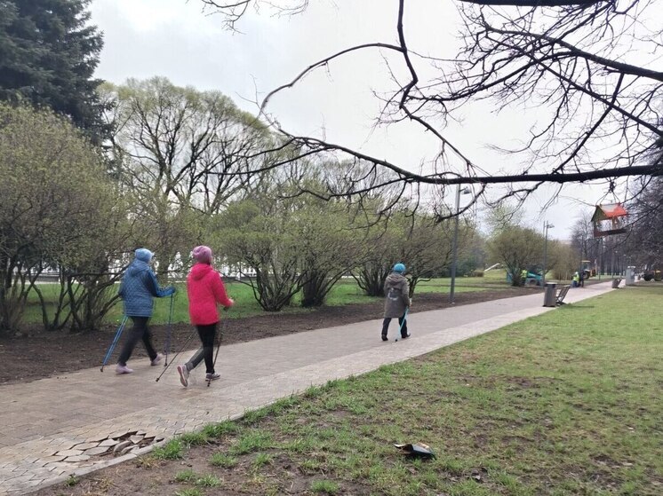 Северная столица примет международный форум «Старшее поколение»