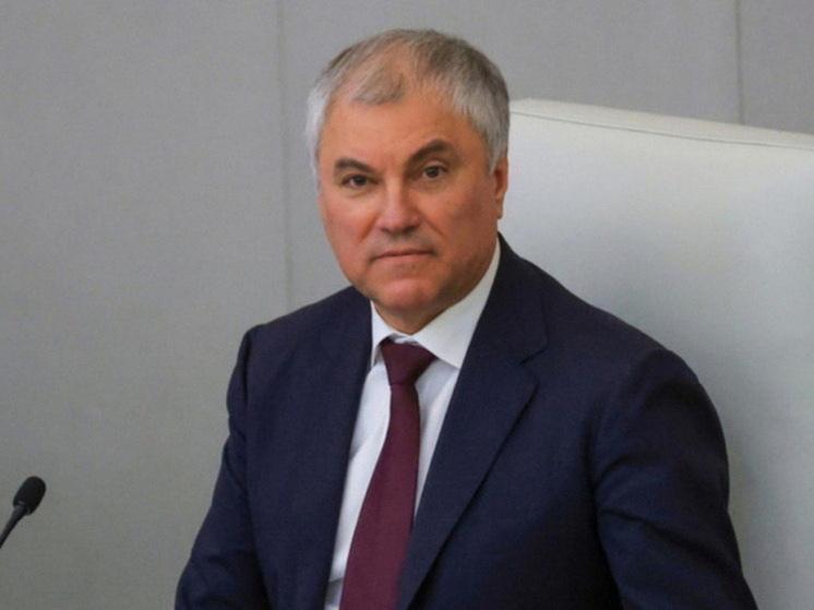 Володин: Госдуме следует внести вклад в восстановление Курской области