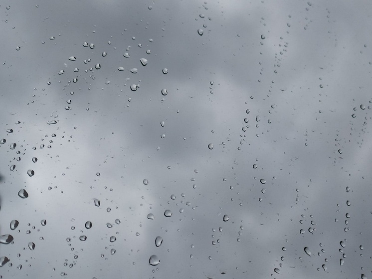 Дождливые дни принесет ноябрь на Вологодчину