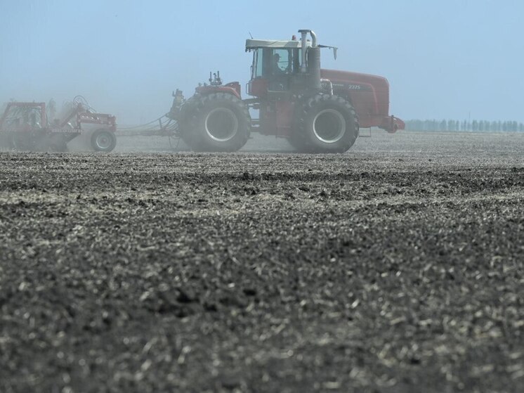 В Челябинской области собрали рекордный урожай масличных культур