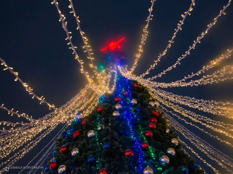 Стало известно, когда зажжется главная елка Карелии