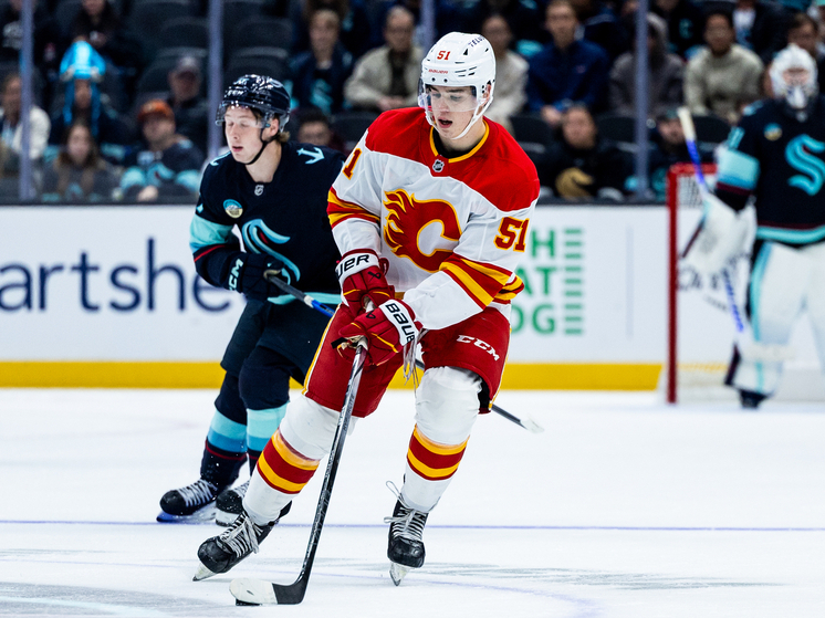 Спустя неделю после начала сезона в Национальной хоккейной лиге стартовал регулярный, 90-й по счету, чемпионат Американской хоккейной лиги, в котором играют фарм-клубы сильнейшей лиги планеты и где проходят обкатку молодые хоккейные дарования, не сумевшие пробиться в начале сезона в основные составы своих заокеанских клубов