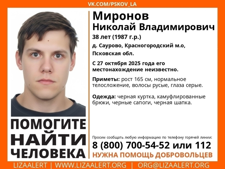 Русый мужчина в камуфлированных брюках пропал в деревне Саурово Красногородского округа