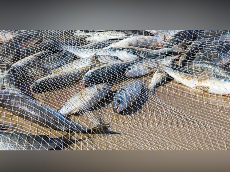 Браконьер лишился сетей, лодки, мотора и улова в Карелии