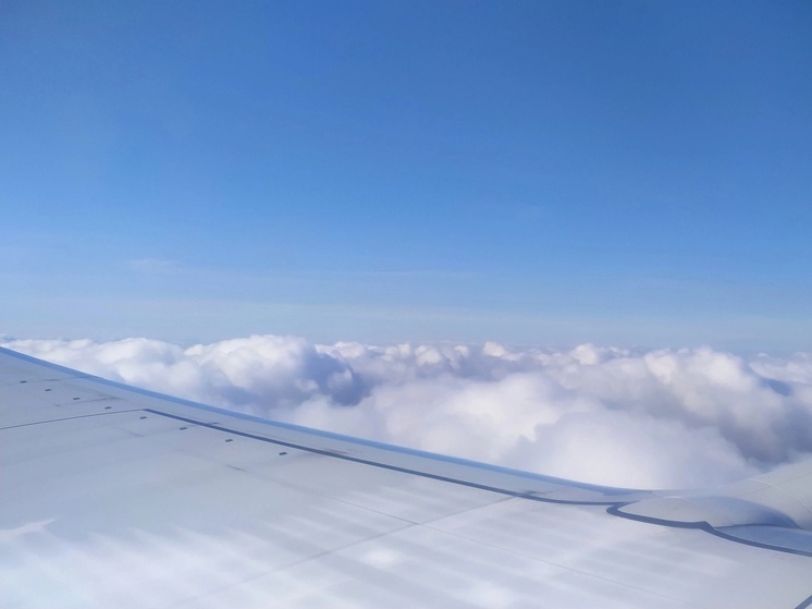 В Омске начнётся суд над пилотом, посадившим самолёт в пшеничном поле под Новосибирском