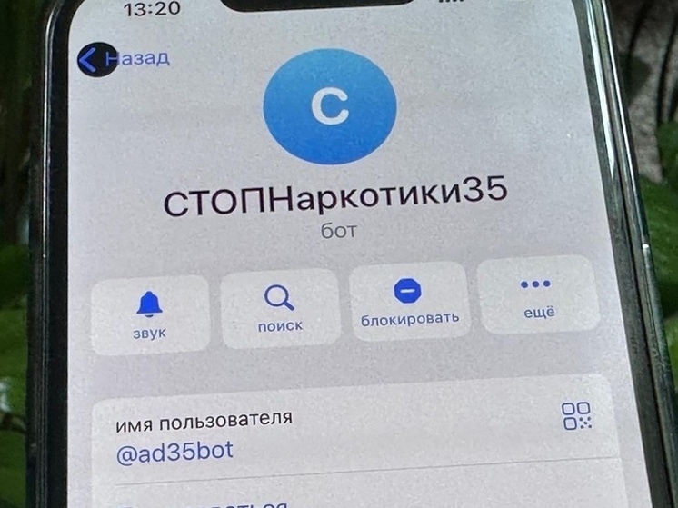 Вологжане сообщают о подозрительных вакансиях в чат-бот «Стоп наркотики 35»