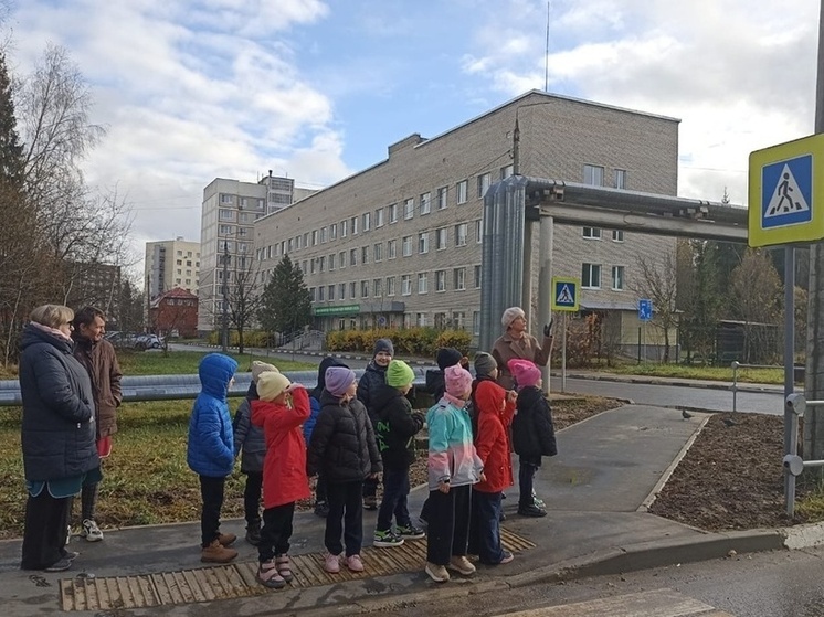 В Серпухове ведется мониторинг безопасности около образовательных учреждений