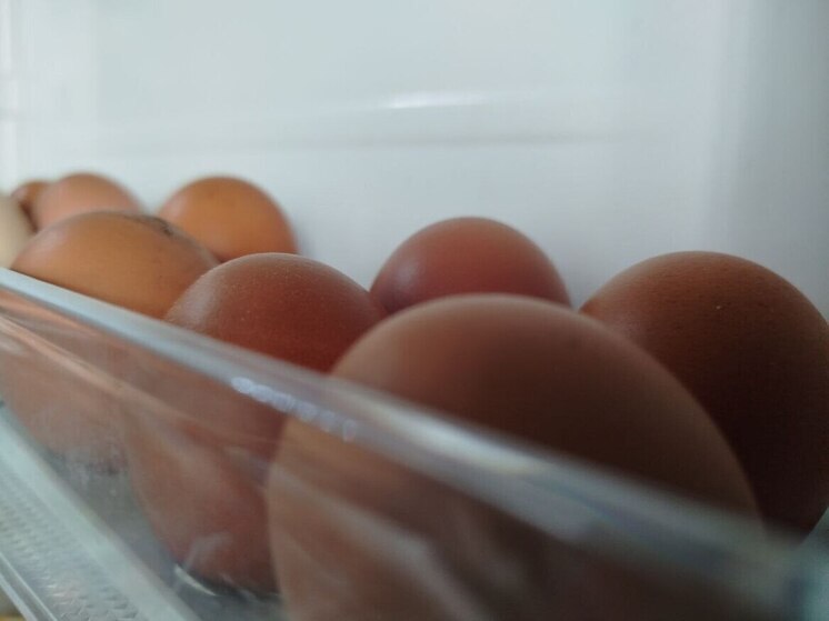 Калининградская область получила свыше 16 млн инкубационных яиц