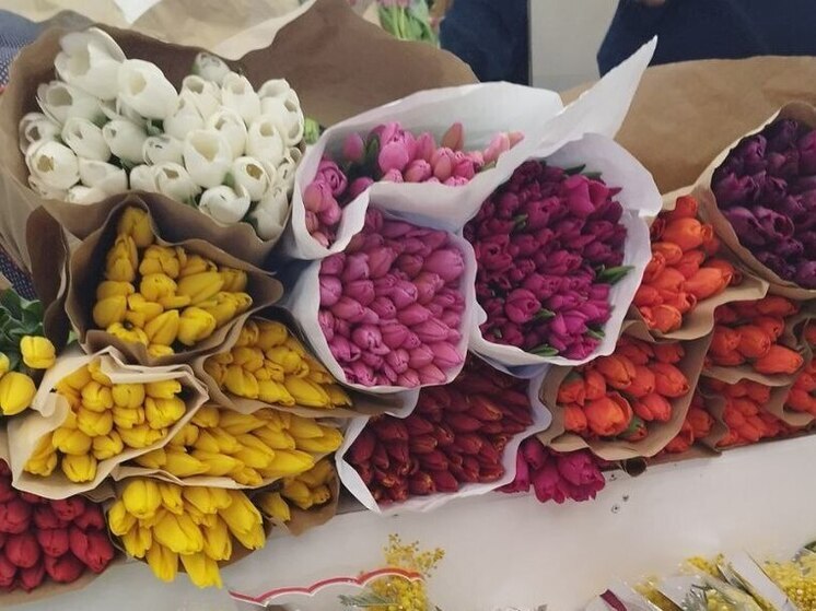 Калининградский Россельхознадзор изъял зараженные вредителями цветы из Литвы