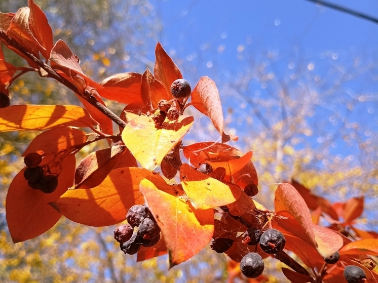 Сила магнитной бури 31 октября составит 3 балла: период положительной энергии