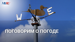 "Можно не дёргаться": Синоптик объяснил, почему со сменой шин можно повременить