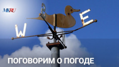 За ноябрьским солнцем: На юге России установилась идеальная погода для праздничных поездок