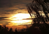 31 октября — это день, когда осень по-настоящему сдает свои права зиме. В православной традиции это день памяти апостола и евангелиста Луки — сподвижника Павла, автора одного из Евангелий и, по преданию, первого иконописца. 