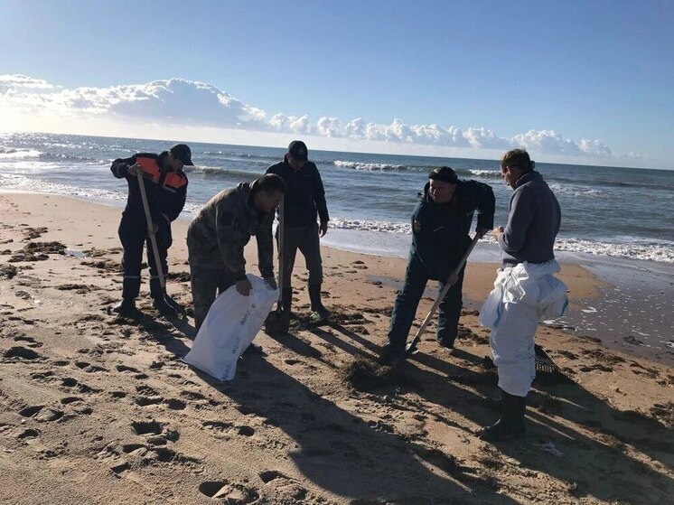 Специалисты ликвидируют точечные выбросы нефтепродуктов в Краснодарском крае