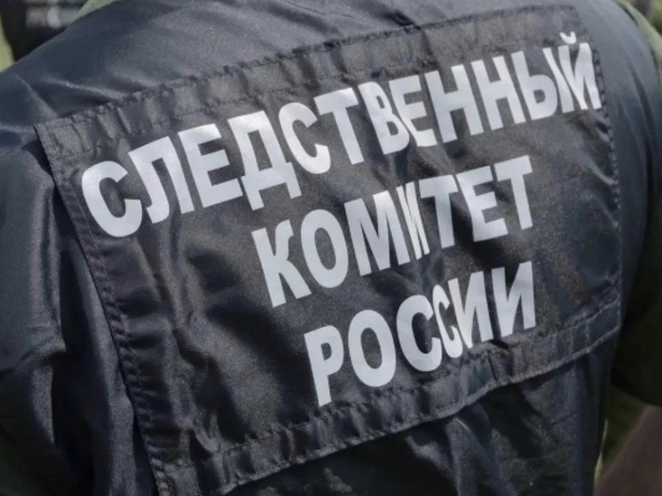 Бастрыкин потребовал отчёт о работе служб по отлову бездомных собак в Новосибирске