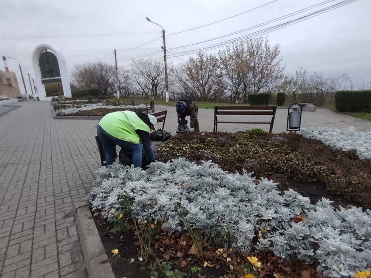 Городские клумбы в Курске готовят к зиме
