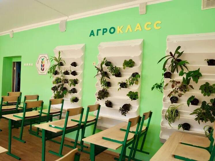 Школу в Нижегородской области полностью закрыли на карантин