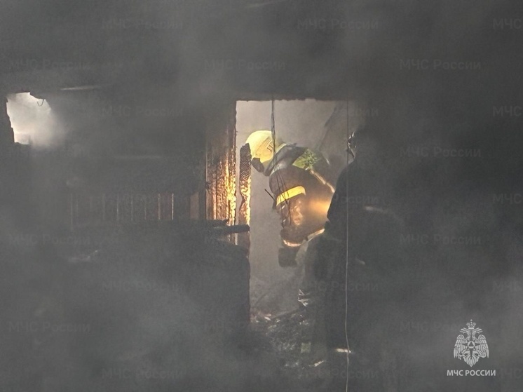 В селе Кадниково сгорели частный дом и гараж