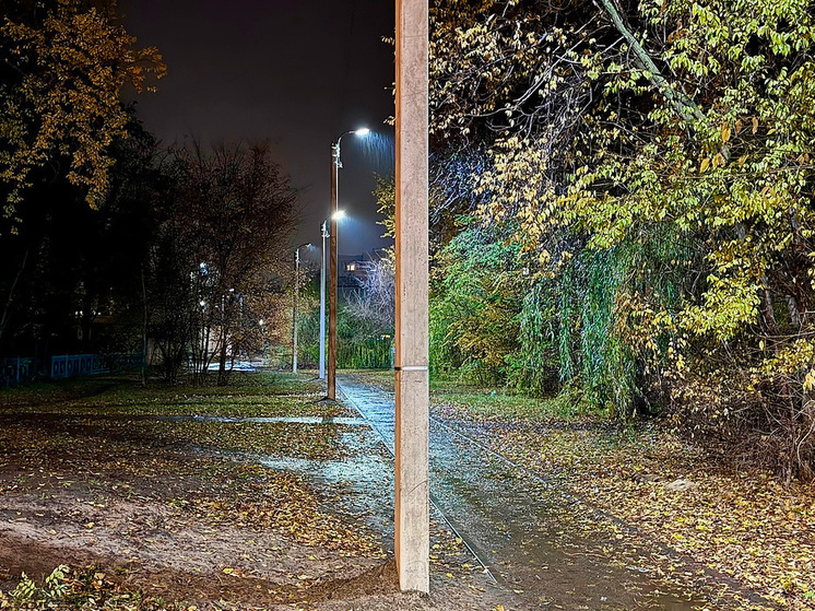 Обновленные фонари осветили путь липецким школьникам