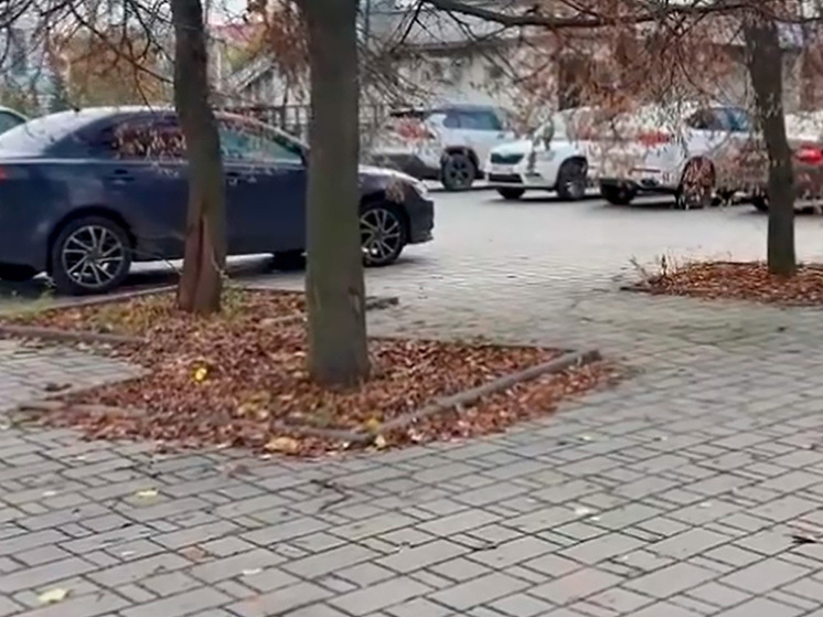 В Липецке пешеходные зоны под угрозой из-за парковочных проблем