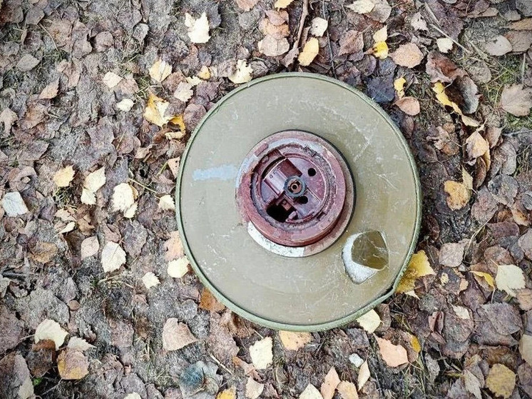 Костромская бдительность: обнаруженный на стройплощадке предмет оказался миной… но учебной