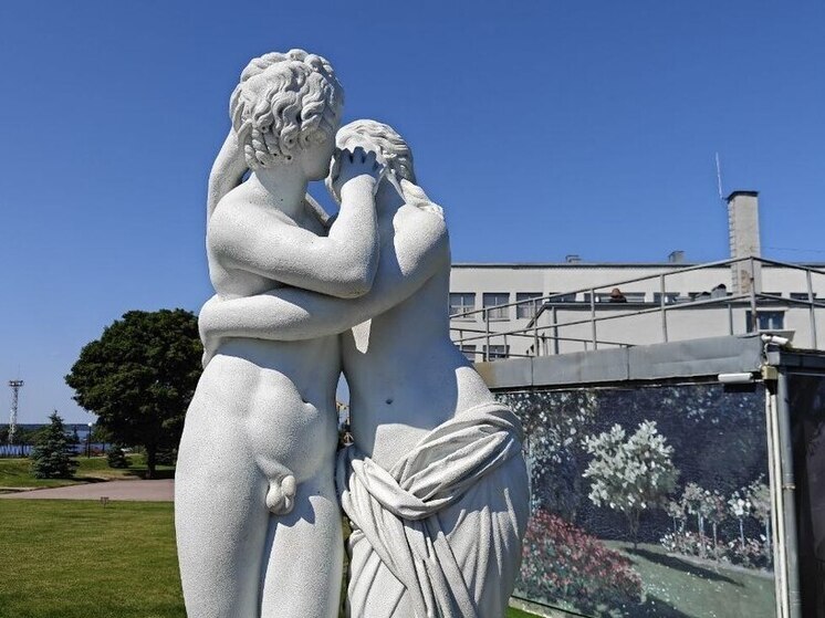 Видеоканал вместо денег принес новгородцу уголовное дело