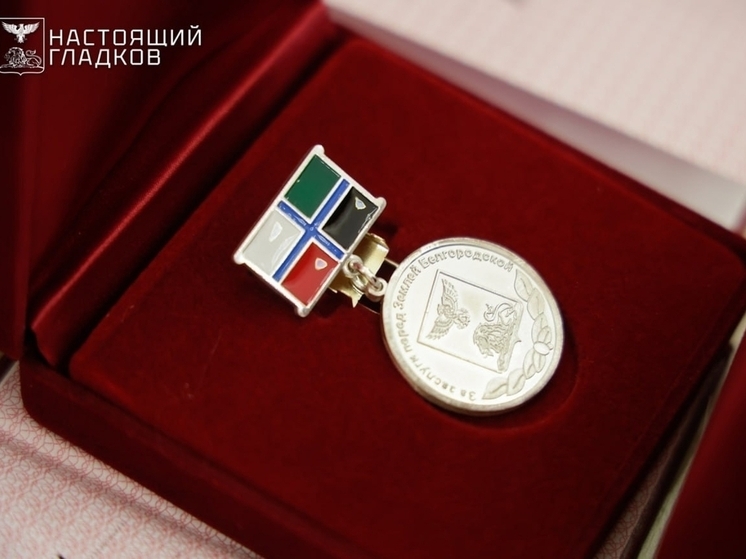Гладков вручил белгородцам награды в преддверии Дня народного единства