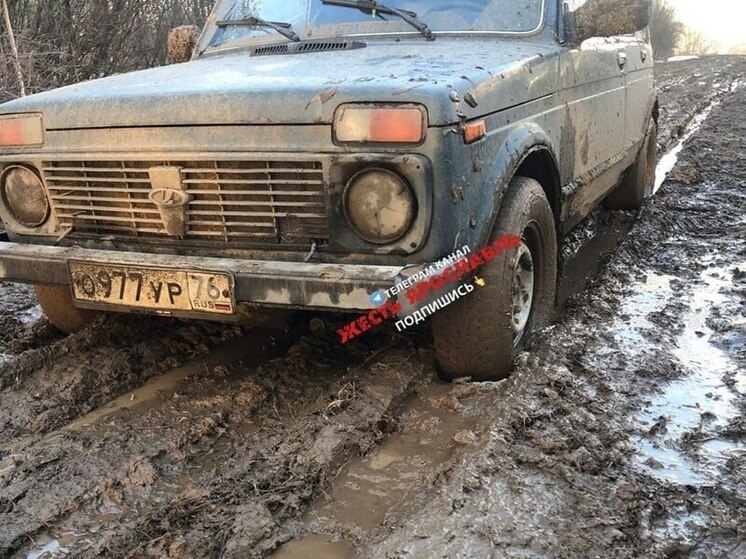 В Ярославской области жители жалуются на то, что их единственная дорога утонула в грязи.