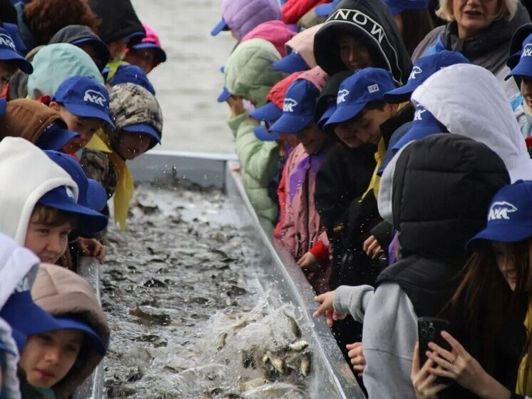 В Астраханской области было выпущено примерно 27 тысяч мальков сазана